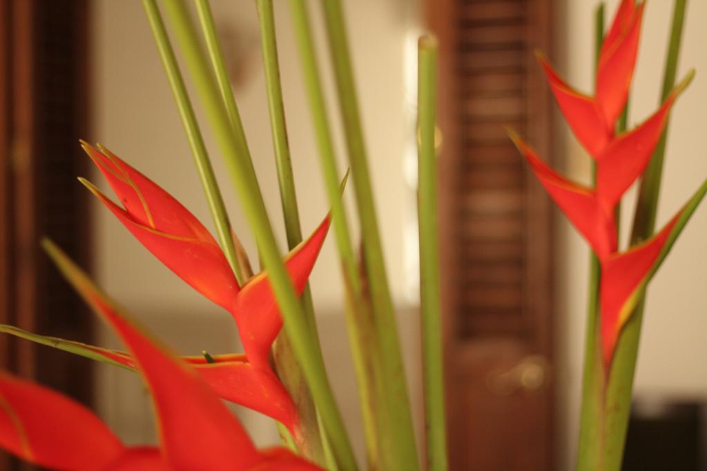 Casa Del Tejadillo Cartagena