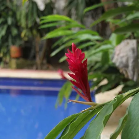 Hotel Casa Del Tejadillo Cartagena