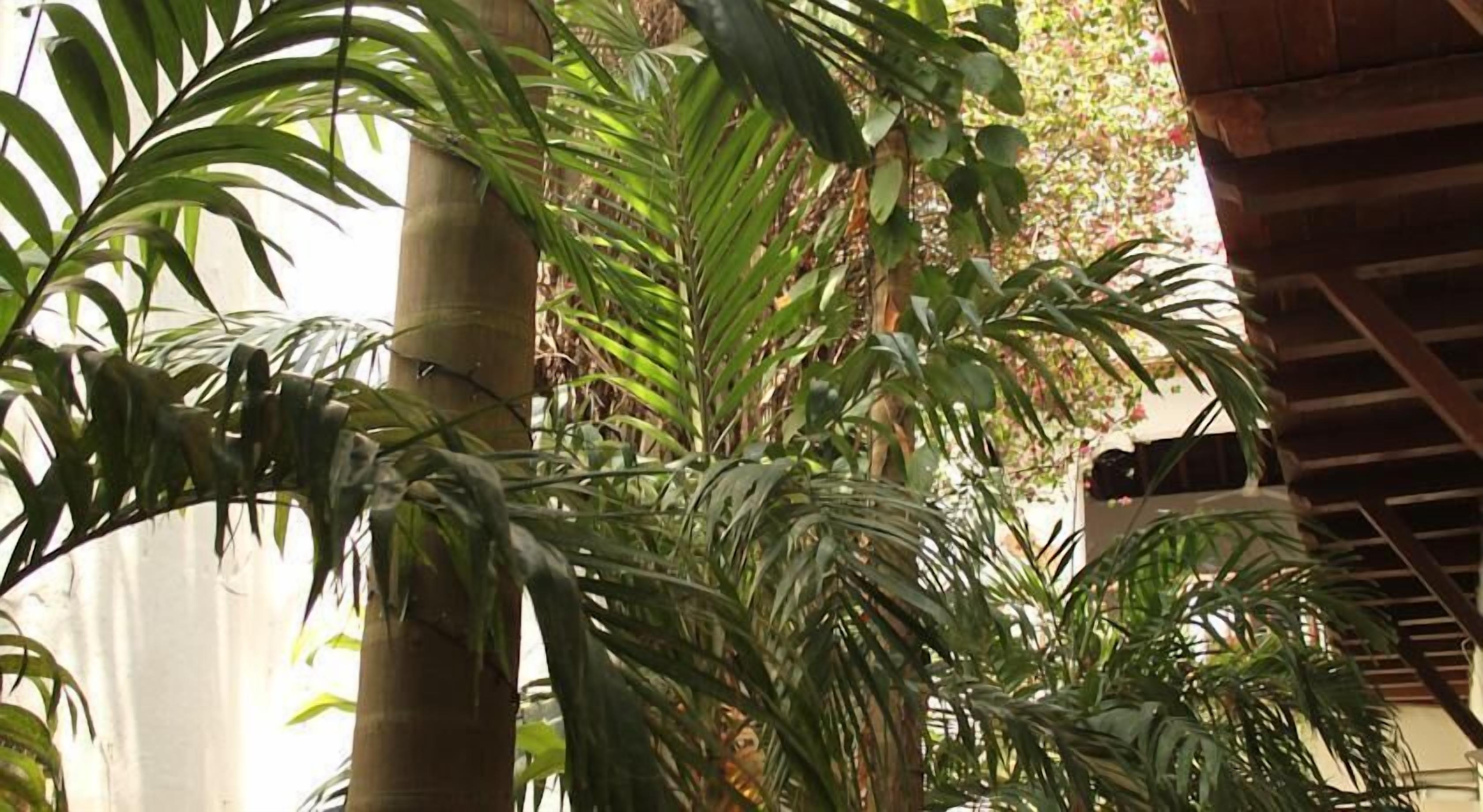 Casa Del Tejadillo Hotel 2*